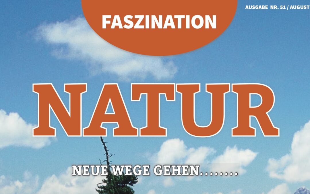 Magazin Ausgabe 51