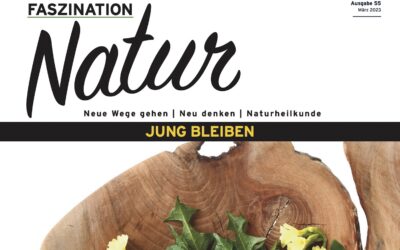 Magazin Ausgabe 55